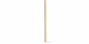 Choc. Mikado White
